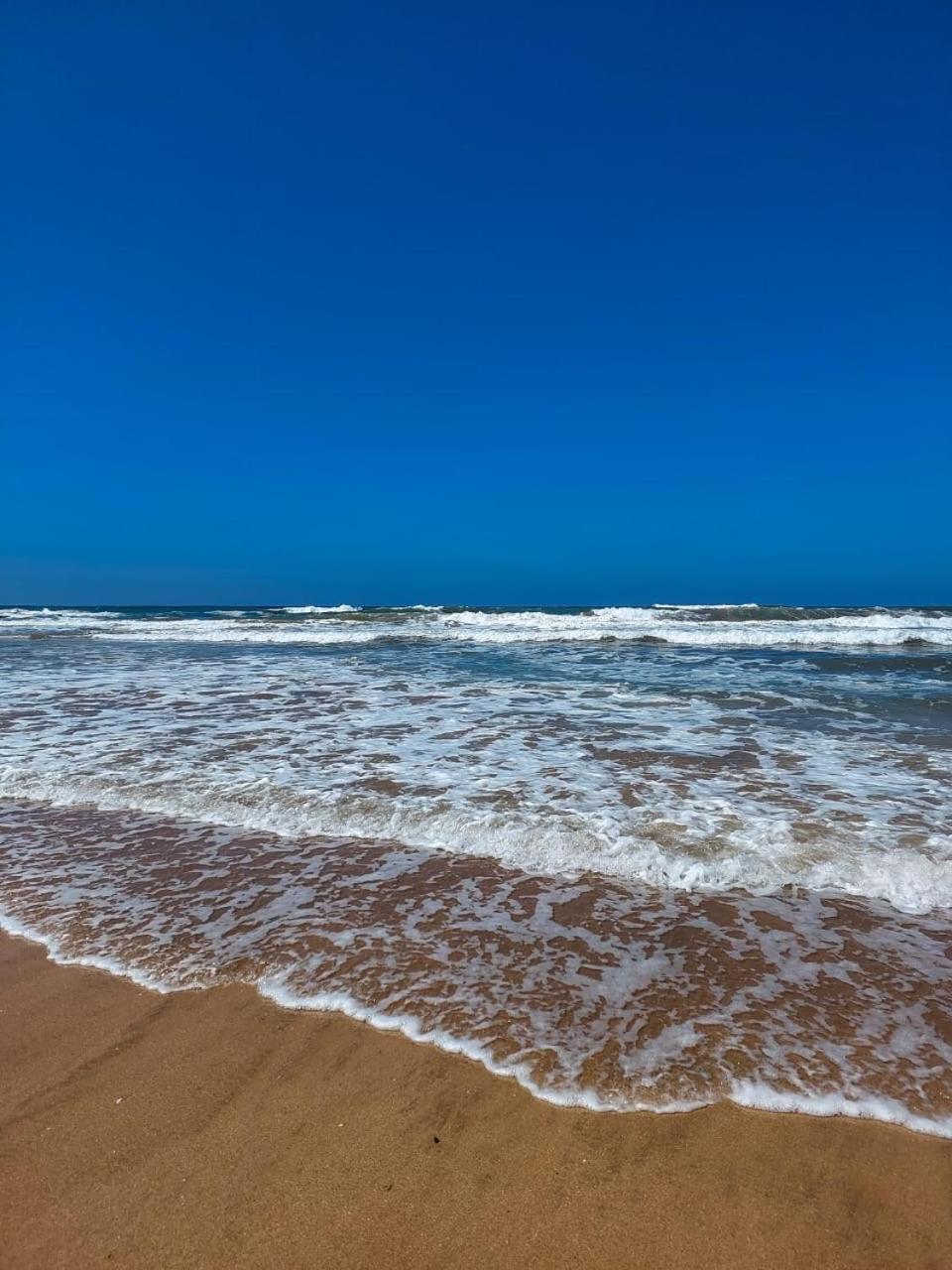 Bel Appartement De Plage - Rdc - Dahomey Beach ブズニカ エクステリア 写真